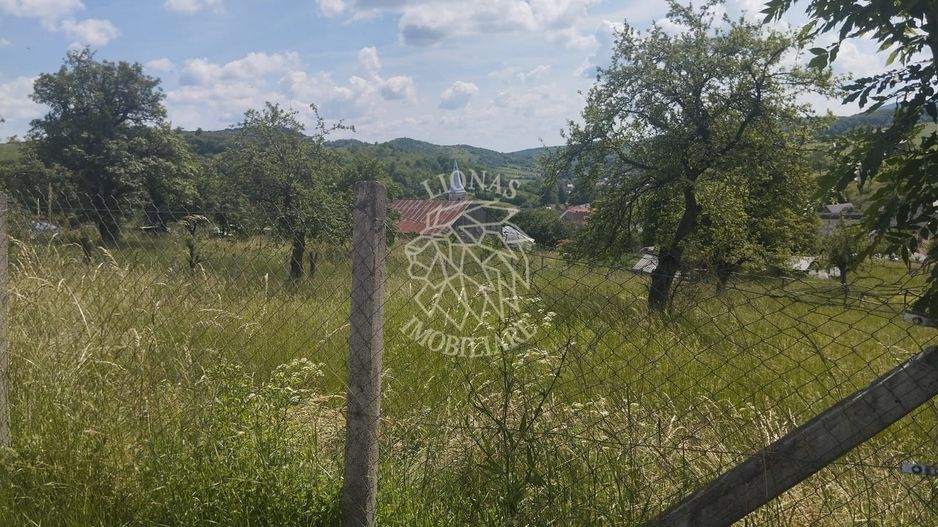 Teren intravilan 5000 mp-utilitati-ideal case-Slatinita - Poză 3