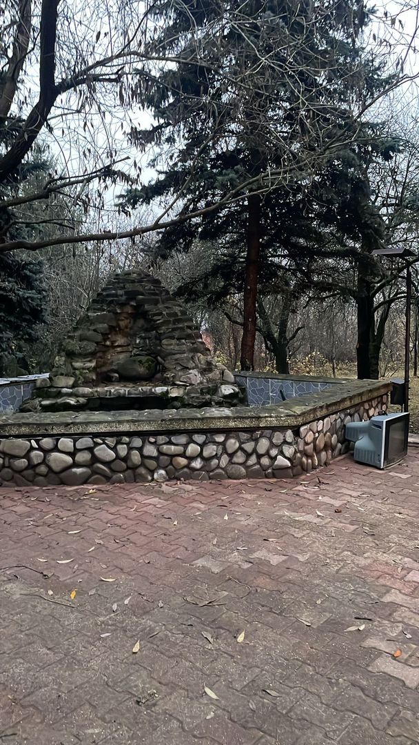 Pet Friendly, Vedere Padure, 5000mp teren, D+P+1E+M, semineu, foisor - Poză 49