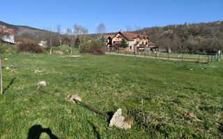 Teren | Intravilan | 550 MP | Sibiel - Poză 3