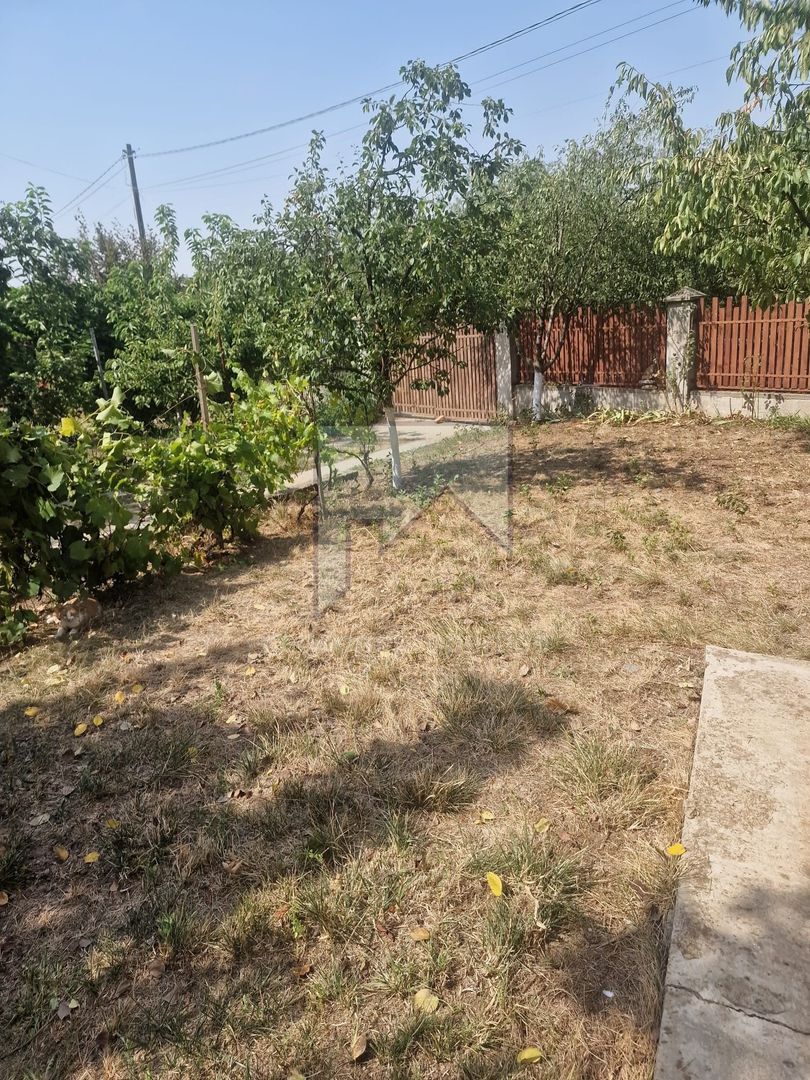 Vanzare Vila S+P+1E+Pod - Adunatii Copaceni - Poză 25