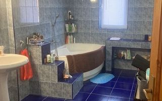 Popesti Leordeni - Soseaua Oltenitei, central - Poză 15