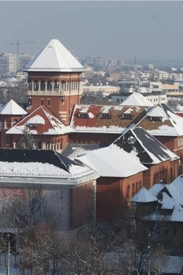 Apartament Piata Victoriei / Titulescu - Poză 9