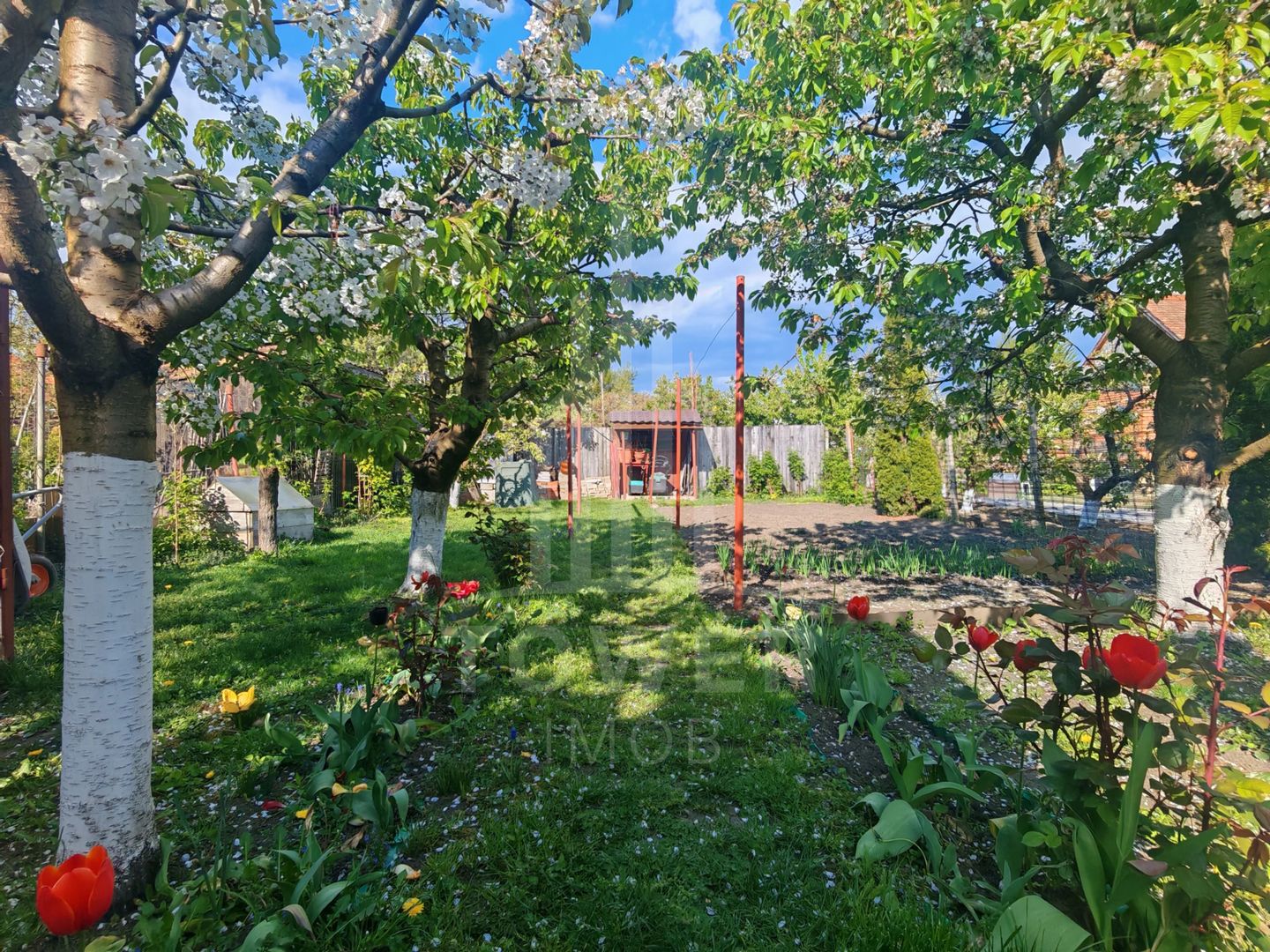 Casă individuală de vânzare – cartier Lazaret, Sibiu - Poză 16