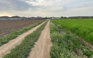 Teren intravilan cu destinatie rezidentiala 7.458 mp Balotesti - Poză 3