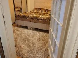 De vanzare Apartament 3 camere in vila, Hala Traian- Mantuleasa - Poză 2