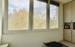 Apartament 3 camere decomandate, etaj intermediar, zona Platinia - Poză 15