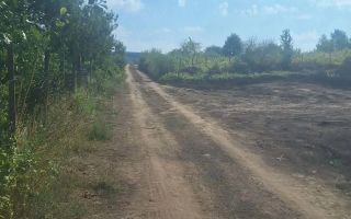 Teren de vânzare în Tomești, județul Iași - Poză 2