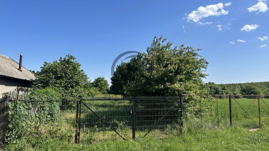 Teren intravilan de vanzare | 11.000 mp | Ghirdoveni | Comision 0% - Poză 3