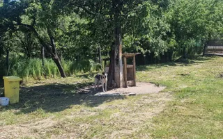  Proprietate în Comuna Botești, Județul Argeș – Zonă Pitorească și Liniștită ! - Poză 20