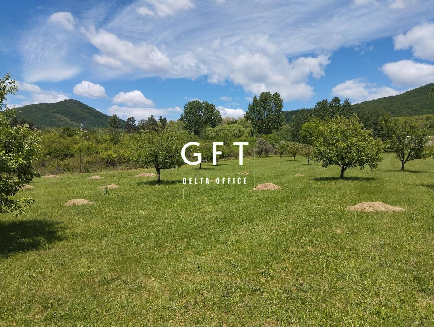 Teren intravilan 6000 mp-parcelabil-ideal constructie case-Crainimat - Poză 1