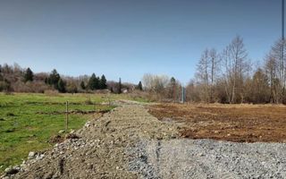 TEREN INTRAVILAN 4007 MP I VALEA AVRIGULUI - Poză 3