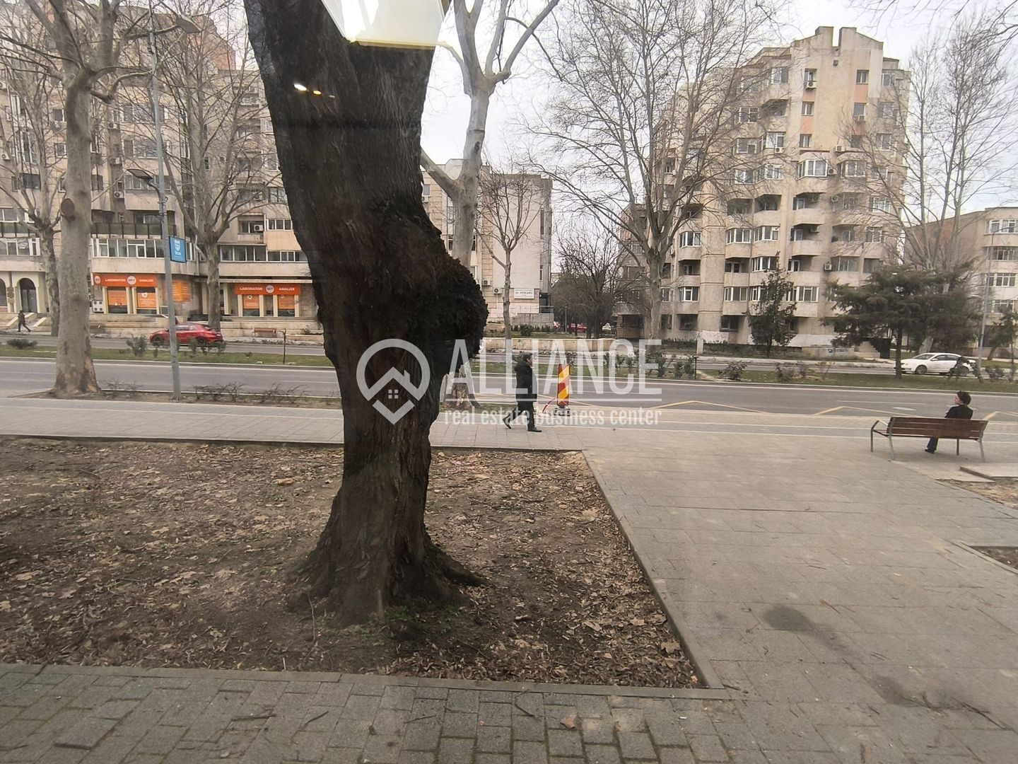 CAPITOL - Bdul Mamaia parter de vila stradal! - Poză 8