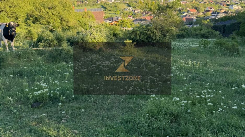 ⭐  Teren de 2.700 mp cu front generos – Ocazie în Oncea - Poză 12