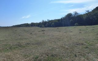 Închiriez teren intravilan - Poză 3