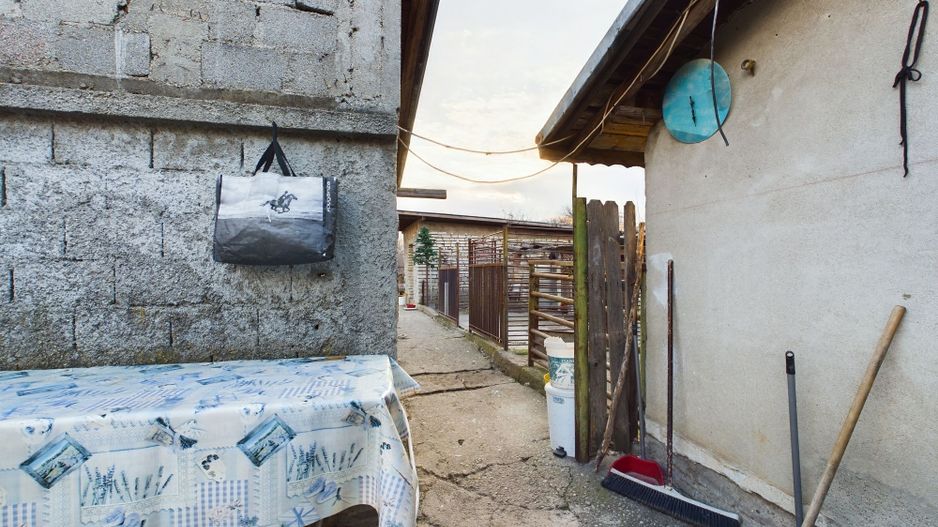 Casa modesta, 2500 mp teren, Domnesti - Poză 11