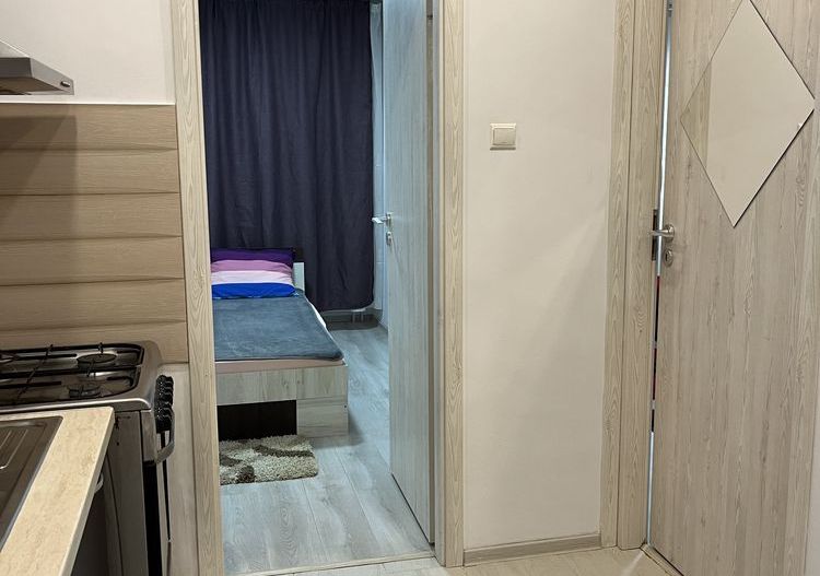 GARSONIERA COCHETA ZONA SEBASTIAN - Poză 4