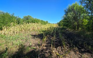 10 ari pentru construcții agroindustriale - Poză 6
