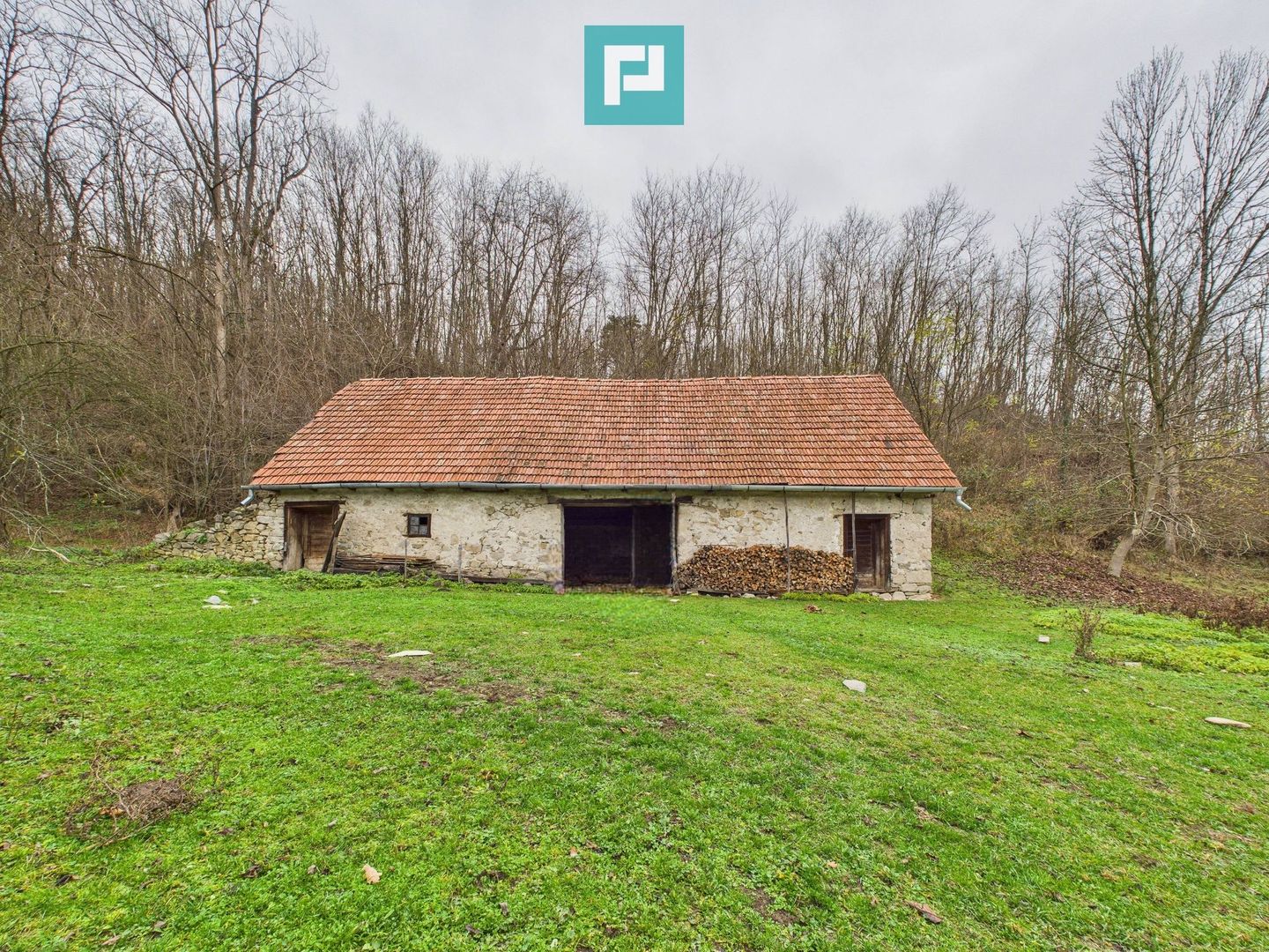 Casă cu teren de 24.679,73 mp, în Hălmagiu, Arad - Poză 12