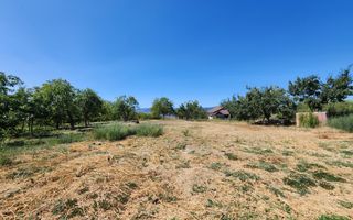 De vanzare teren 10.651mp intravilan, parcelabil, Oarda de Sus - Poză 7
