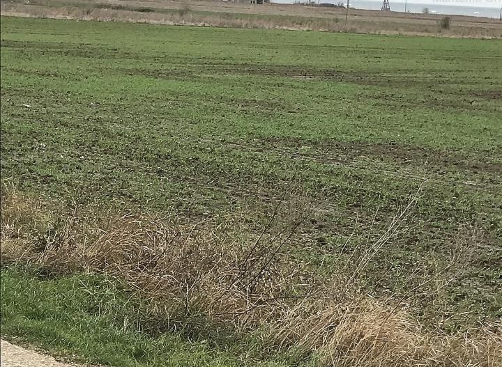 CORBU spre plaja Corbu, teren intravilan 965 mp. ideal constructii - Poză 14