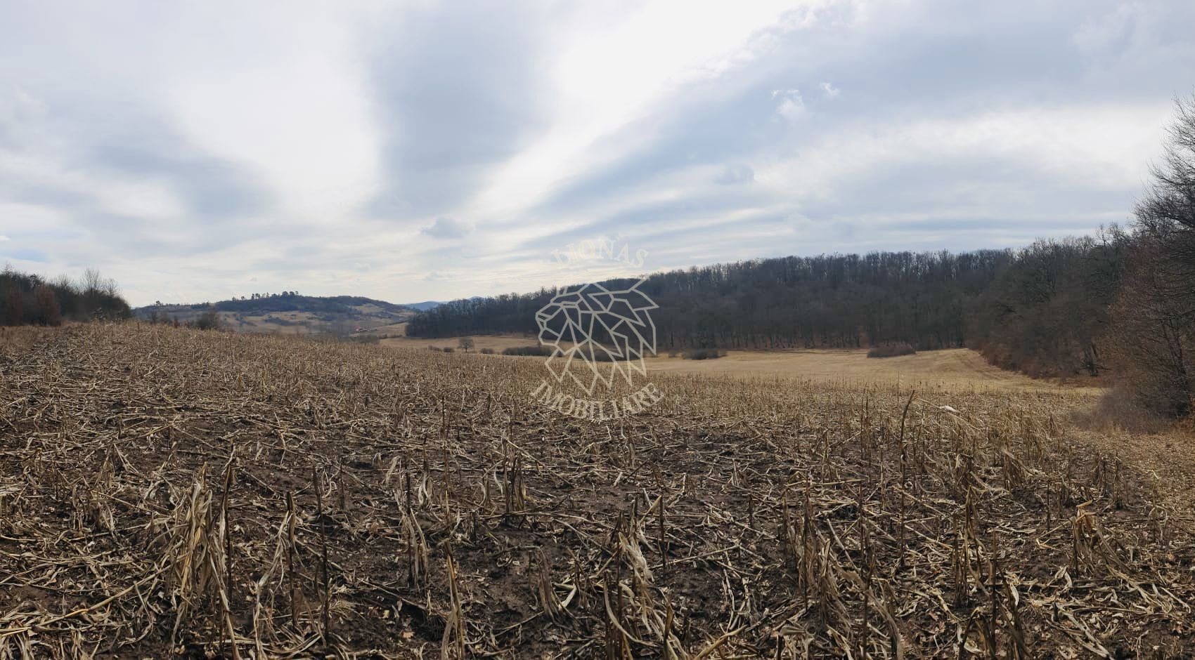 Teren 104,731 mp-Parcelabil-Vedere panoramica-Valea Castailor - Poză 4