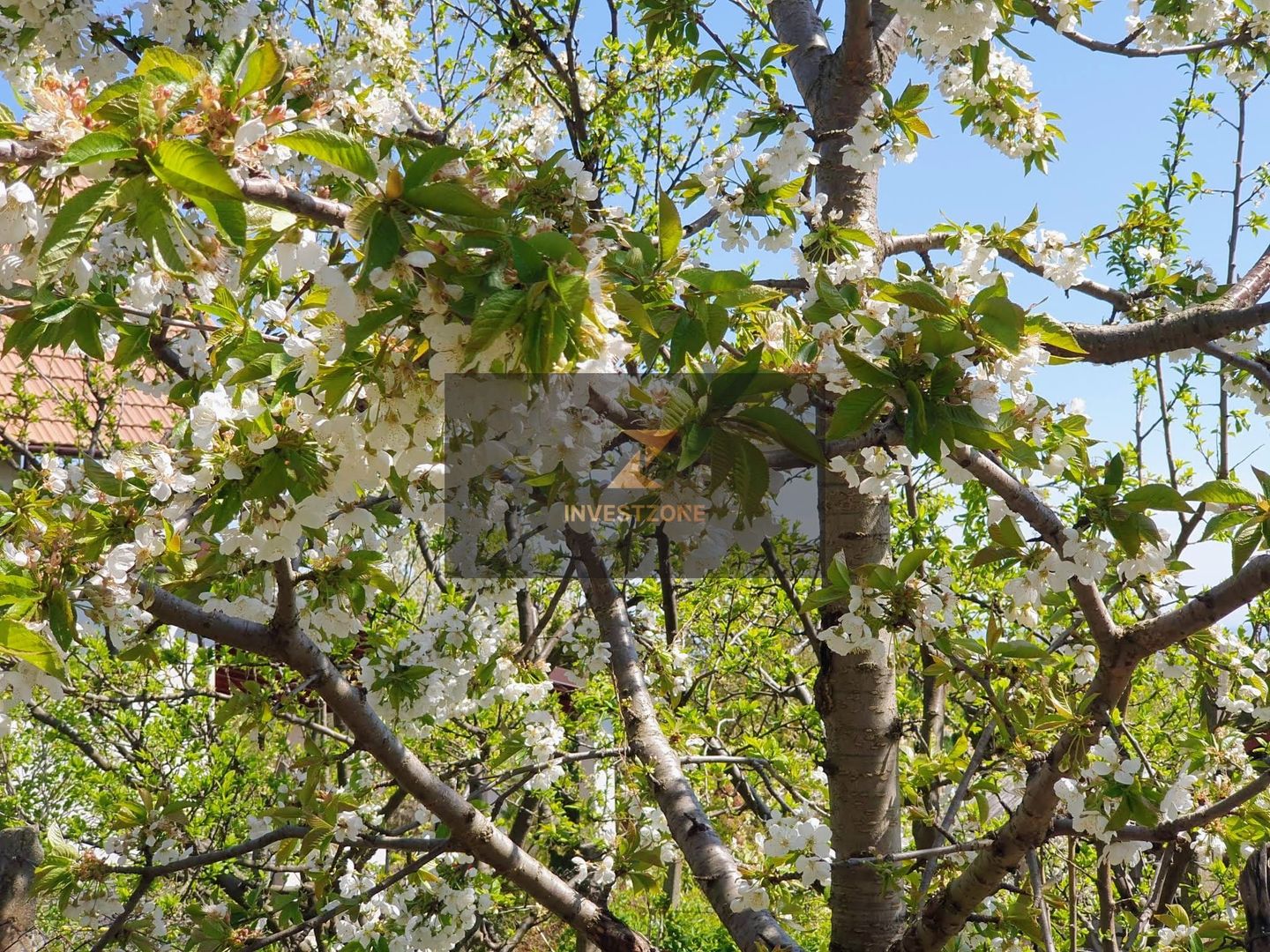 Teren cu utilități 2052 mp - Oradea - str. Făgetului - Poză 15