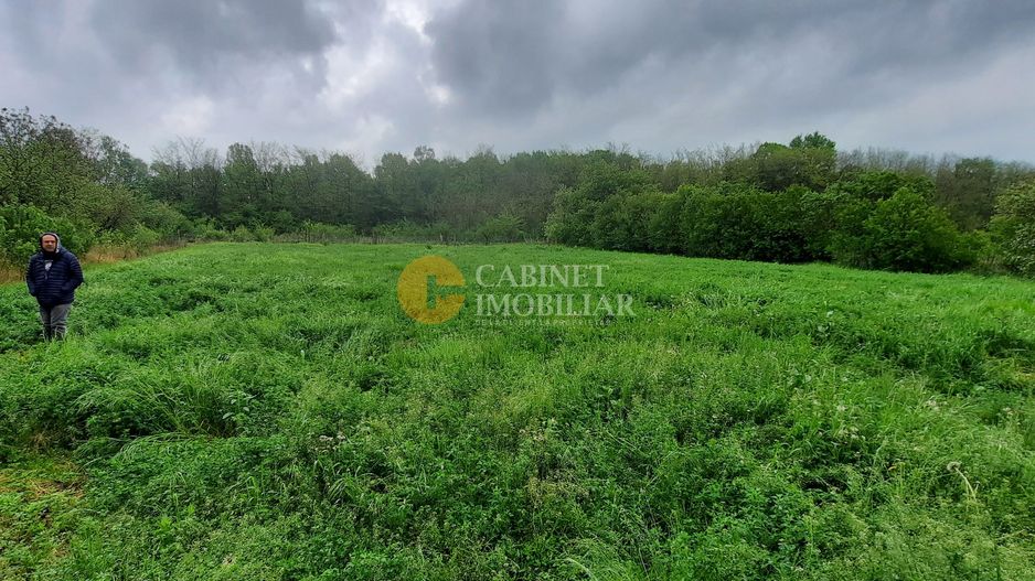 🏡 Casă cu livadă sat Prisăcani  - Teren 4500 mp - Poză 6