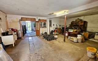 Proprietate cu potențial mixt – locuință și spațiu de lucru în Partoș - Poză 18