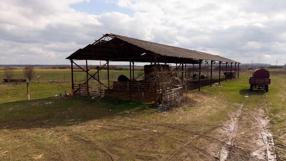 Fermă cu teren intravilan de 35000 mp în Mișca - Poză 25