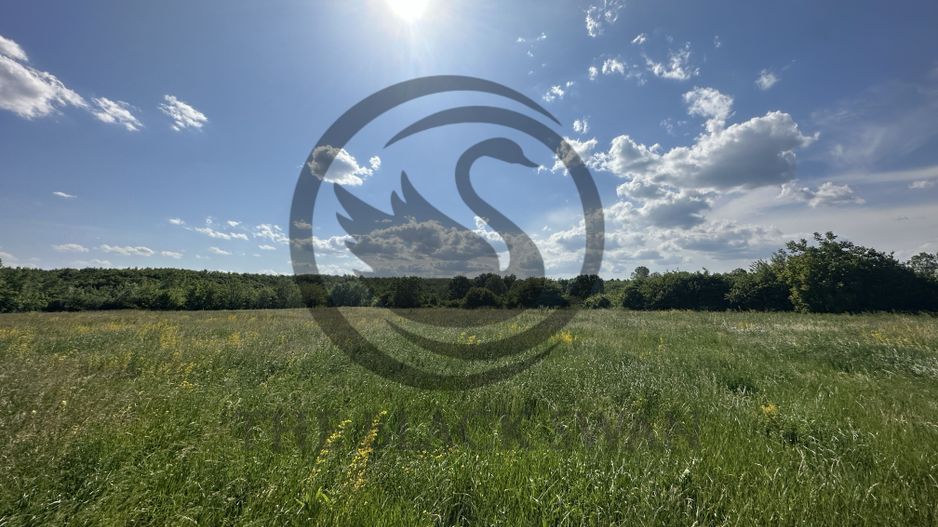 Teren Vanzare 11.000 MP Ghirdoveni | Comision 0% - Poză 9