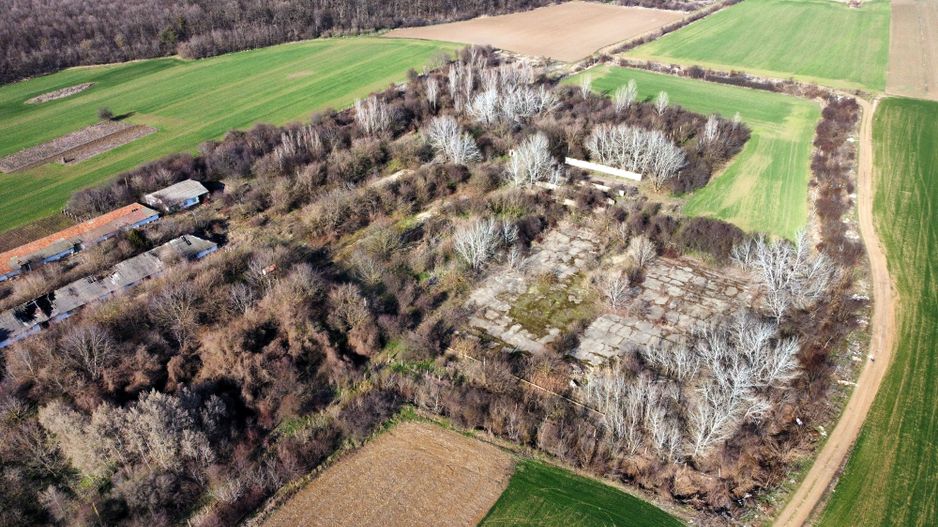 Ferma si livada de meri in judetul Ilfov - Poză 11