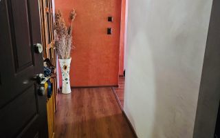 APARTAMENT CU 2 CAMERE DECOMANDAT CALEA ARADULUI - Poză 9