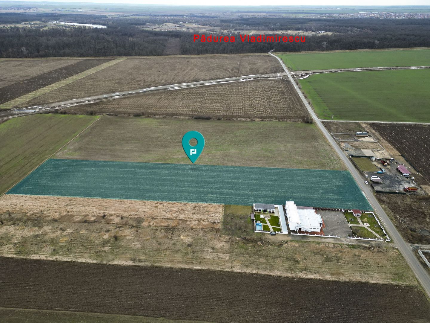Teren 20.000 mp Vladimirescu - Poză 2