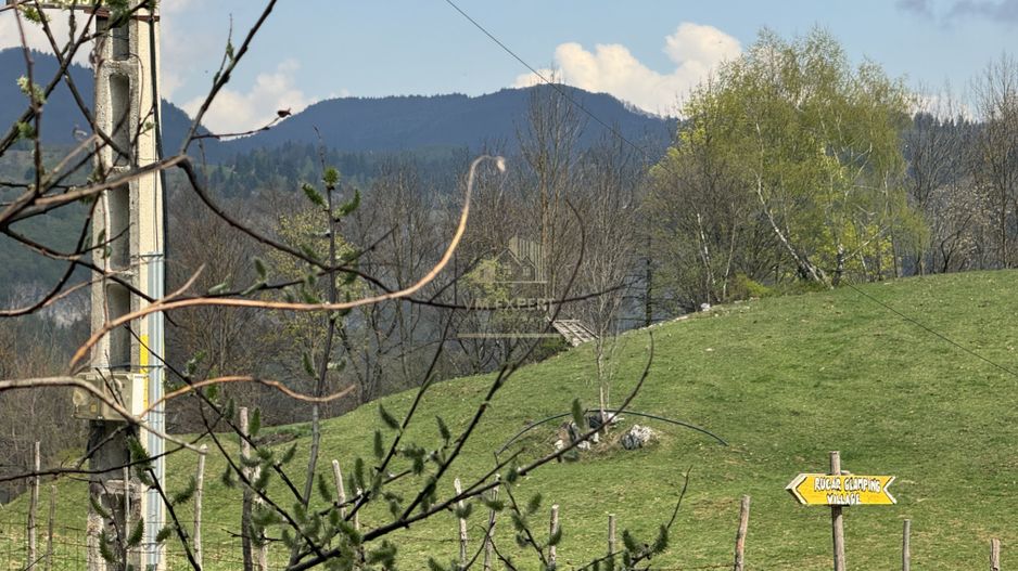 CASA DE VACANTA ZONA RUCAR - POSADA - Poză 30