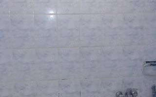 Garsoniera Buziasului cu centrala - Poză 4