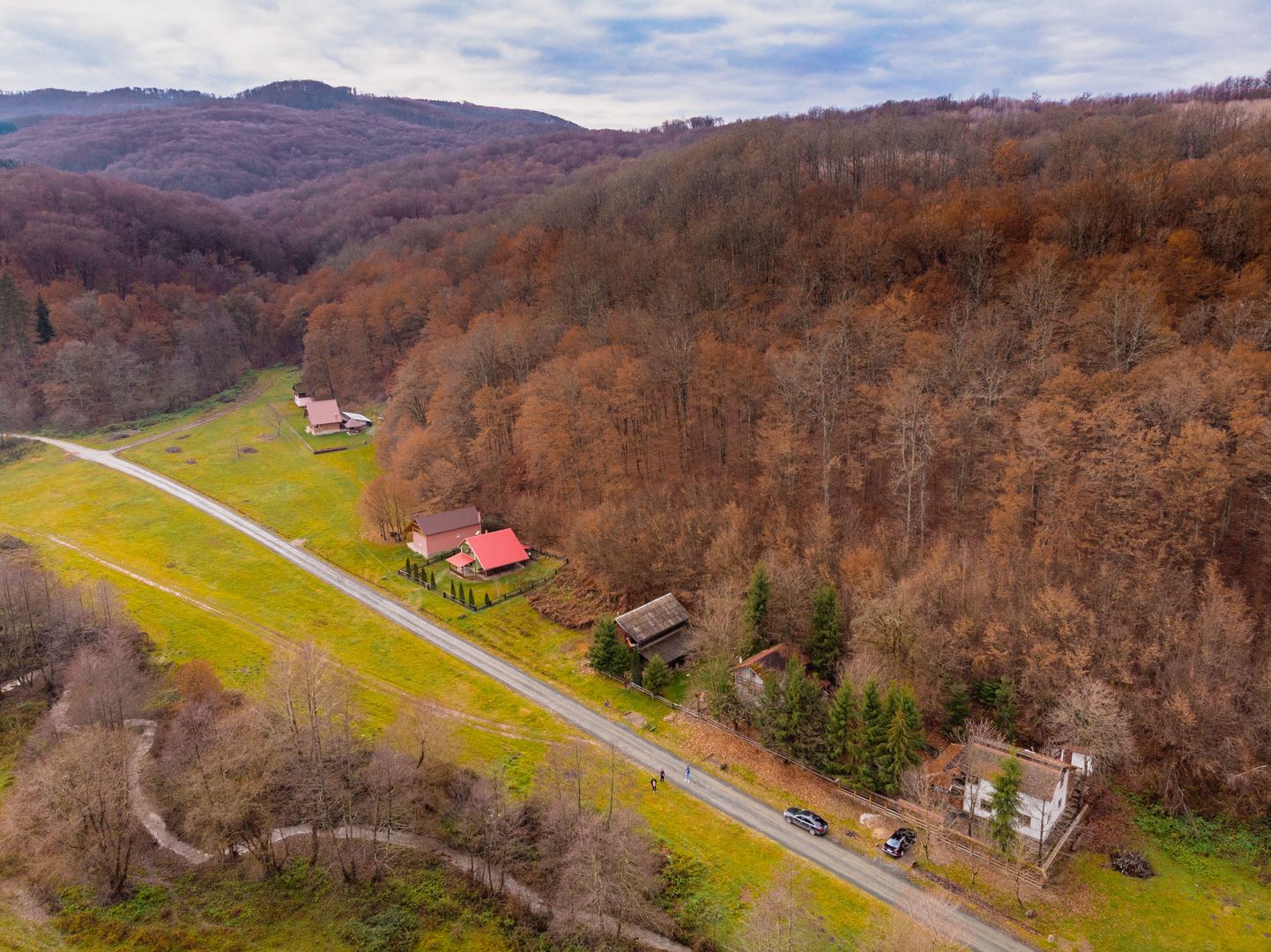 Casă de vacanța în Rădești jud.Arad - Poză 4