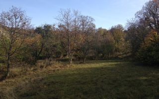 Teren extravilan de vanzare 1.125 mp Două fronturi Zona Gusterita - Poză 3