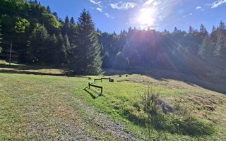 Teren intravilan la munte - Poză 1