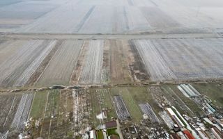 Oportunitate în Sânleani - Poză 3