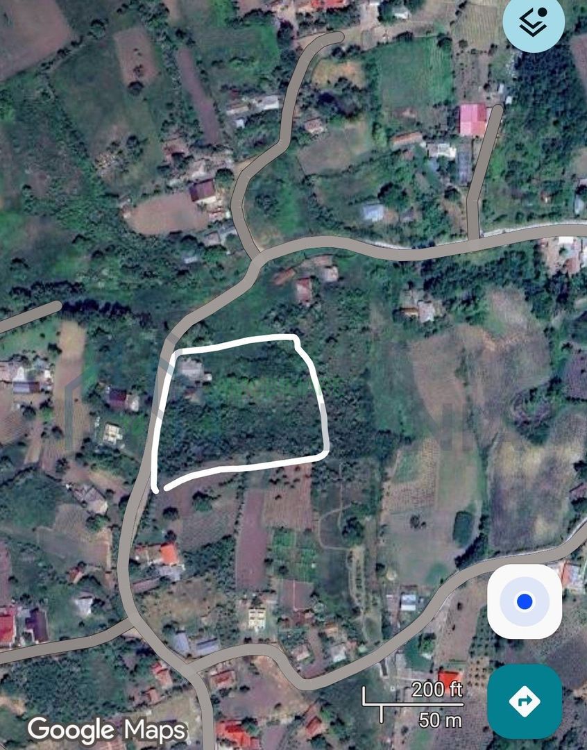 Teren intravilan 5.700 mp cu casa batraneasca, anexe si beci - Bogdanesti, com. Horlesti, Iasi - Poză 3