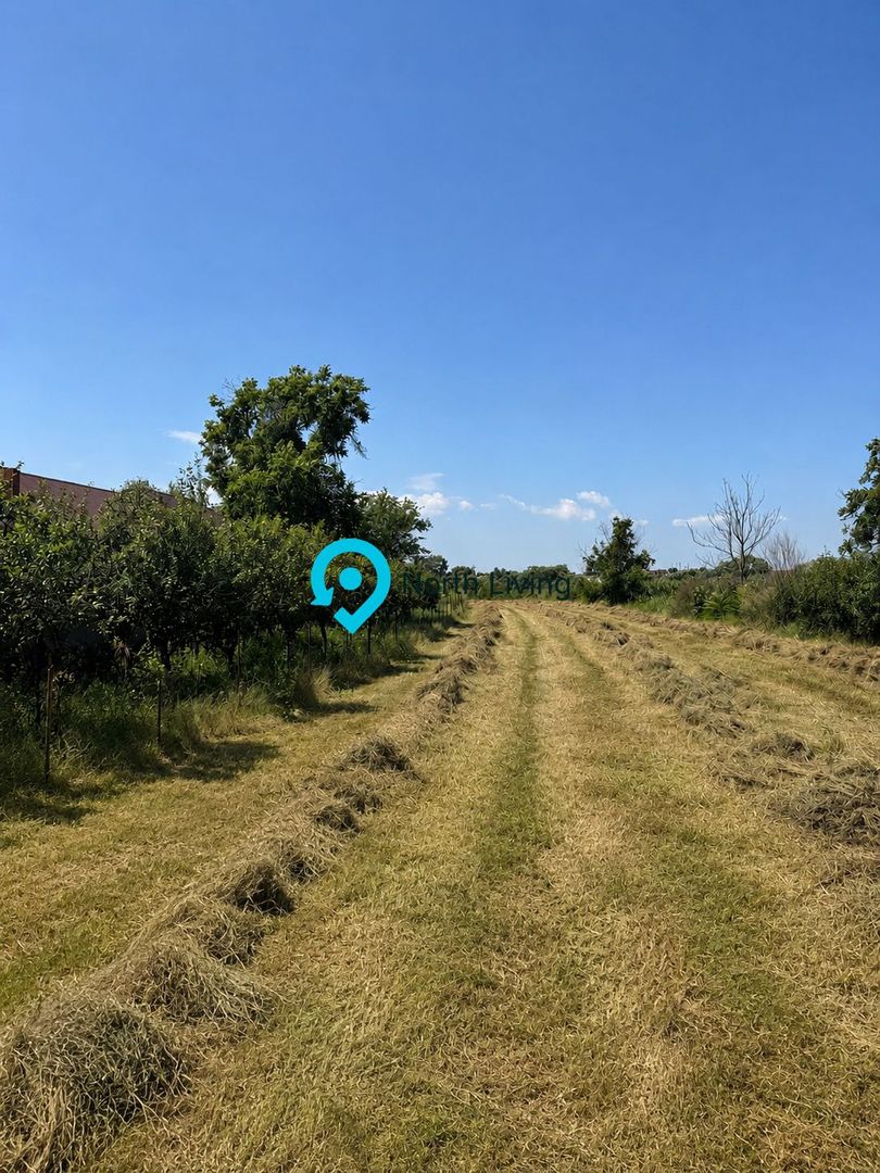 Teren intravilan 4.000 mp Comana (Budeni) | 10 €/mp negociabil | Comis - Poză 2