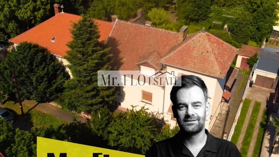 Vila Istorica de vanzare in Centru Timisoara 300 mp utili COMISION 0 - Poză 2