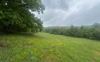 Teren Extravilan 4.572mp | Zonă liniștită | Sadu - Poză 11