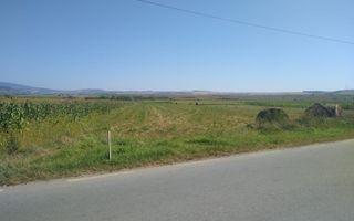 Teren 20000 mp (2 ha)-parcelabil-ideal cabane/agricultura/ferma-Jelna - Poză 2