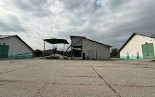 Depozit Cereale-3 Silozuri-Aut ISU-31.000mp-Perfect functional-Olt - Poză 10