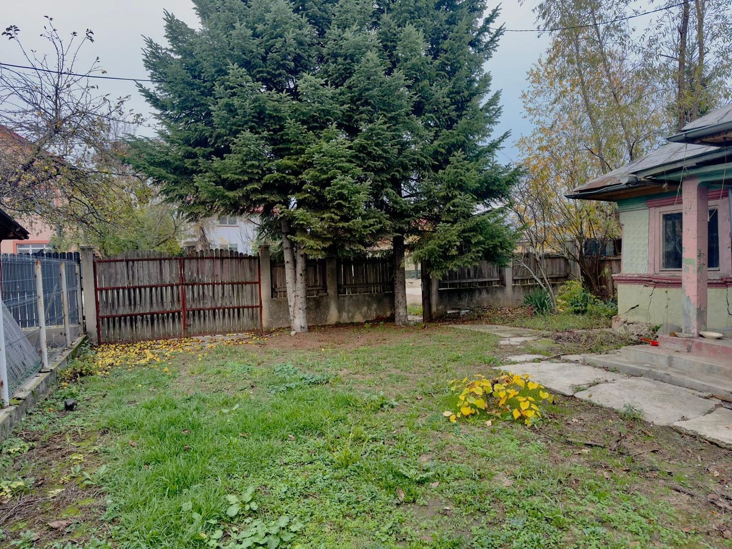 Teren Intravilan | Deschidere Lac Snagov | Ponton | Curatat | Toate utilitatile - Poză 13