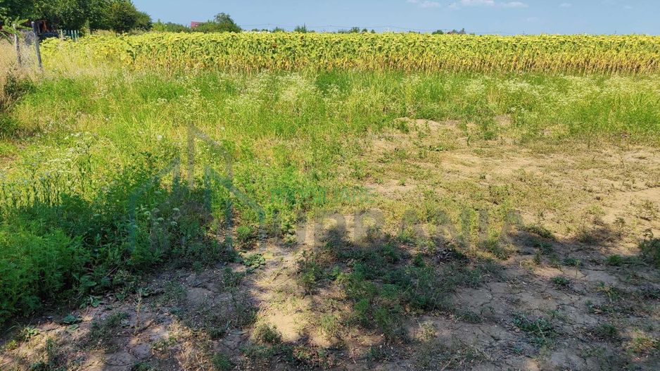 Teren intravilan de 1300 mp în sat Popricani, comuna Popricani, județul Iași - Poză 4