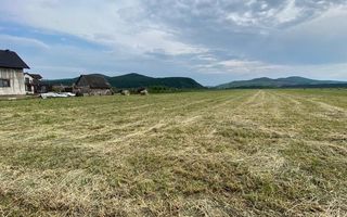 Teren - 1200 mp - Arabil - Chintelnic - Poză 2