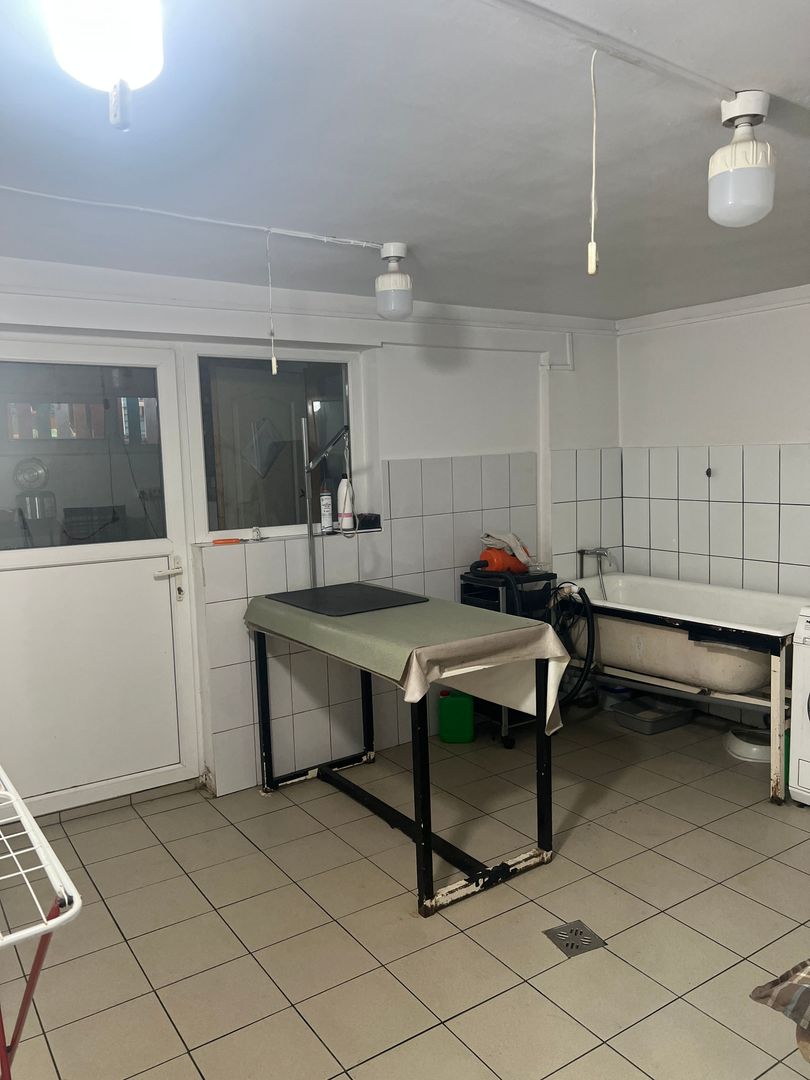 Imobil multifuncțional, 450 mp utili, teren 640 mp, Torontalului - Poză 3