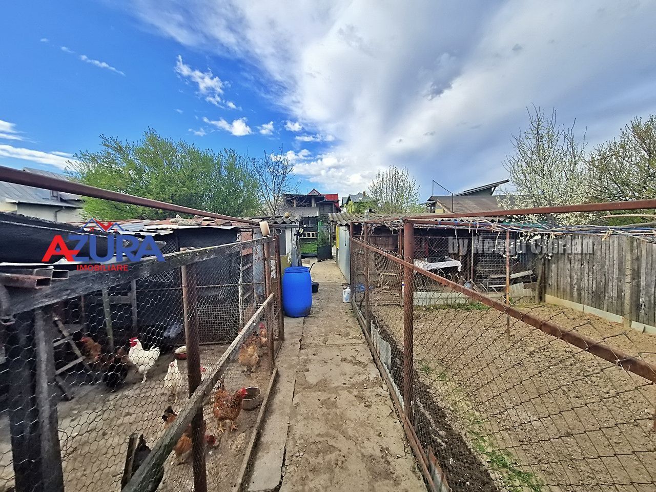 AZURA Imobiliare - Casa Prundu Bananai - Poză 13